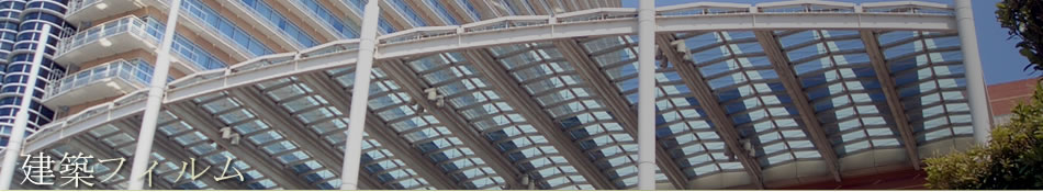 ���z�t�B����